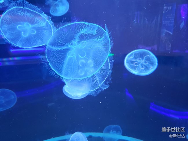 蓋樂世社區(qū)三歲啦！