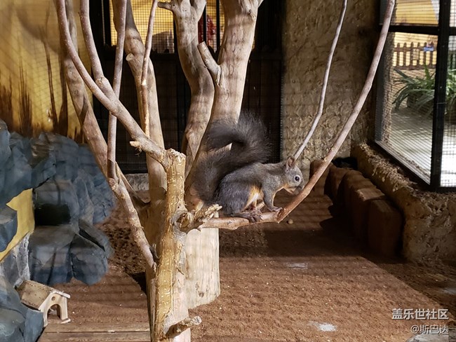 蓋樂世社區(qū)三歲啦！