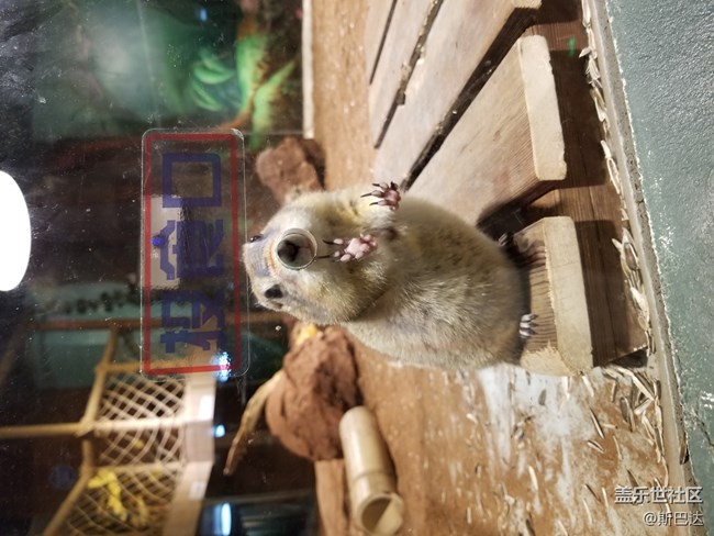 蓋樂世社區(qū)三歲啦！