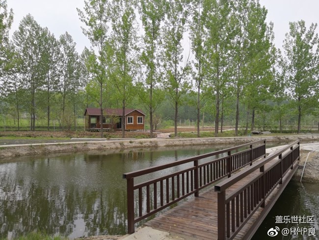 #社區(qū)三周年#合肥星部落邀您同行生態(tài)園 #社區(qū)三周年#合肥星部落邀您同行生態(tài)園