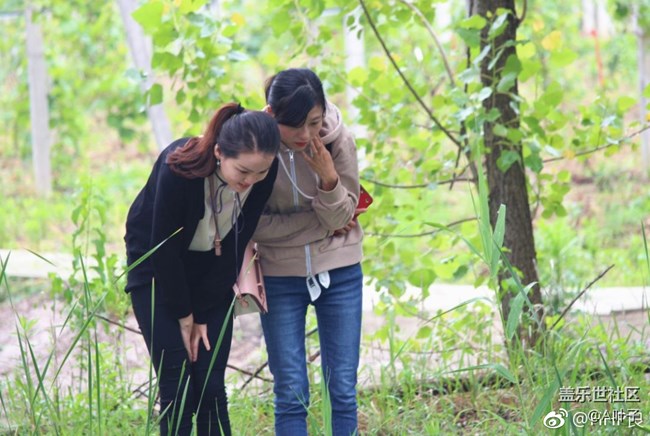 #社區(qū)三周年#合肥星部落邀您同行生態(tài)園 #社區(qū)三周年#合肥星部落邀您同行生態(tài)園