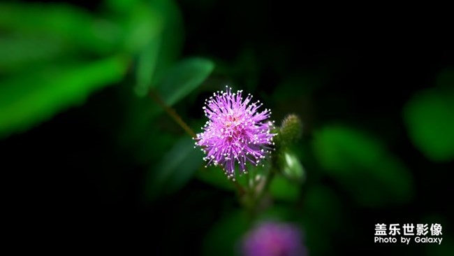 【第107期：精帖匯入圍的的小伙伴記得要回復確認喔】