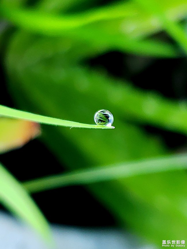 【第108期：距三星手機(jī)新品發(fā)布會(huì)還有一周時(shí)間！】