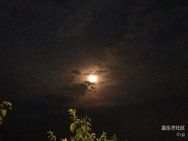 失望??失望??失望??