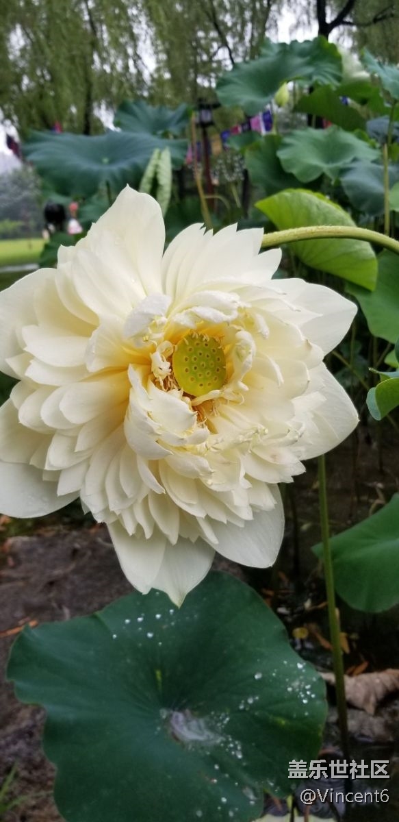 s8+的效果還不錯(cuò)