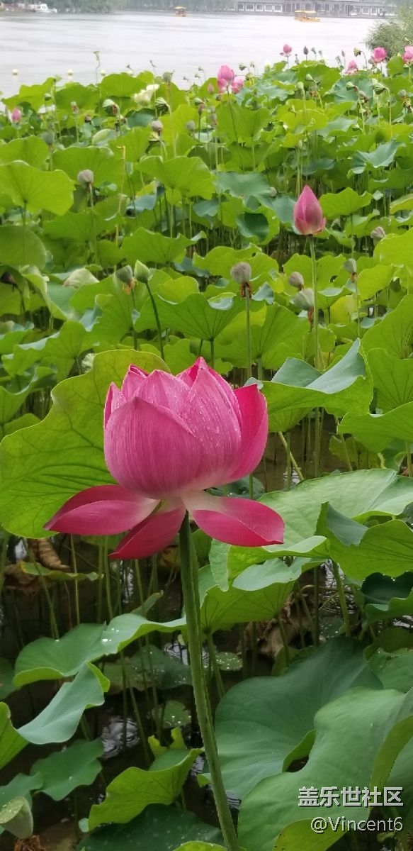 s8+的效果還不錯(cuò)