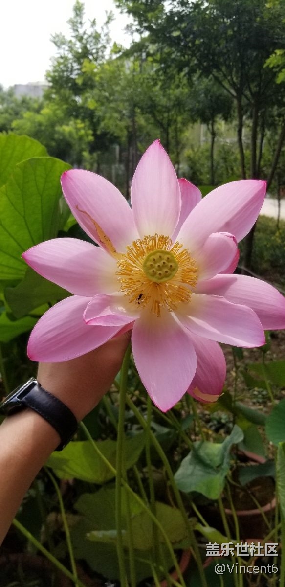 s8+的效果還不錯(cuò)