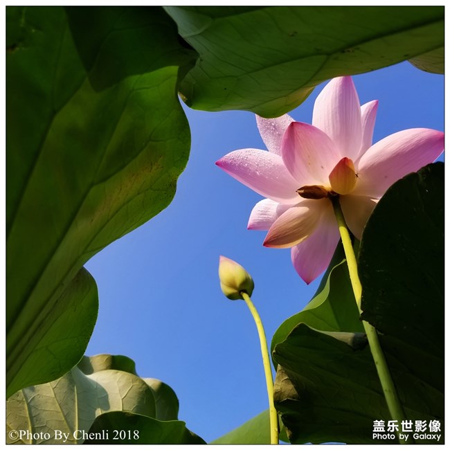 【第109期：立秋貼秋膘啦 你家里在這天有什么習(xí)俗呢？】