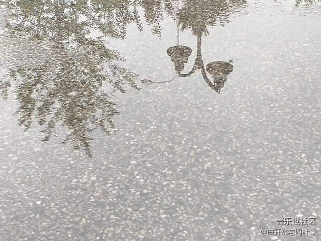 三星A9 STAR 年輕人的收割機(jī)