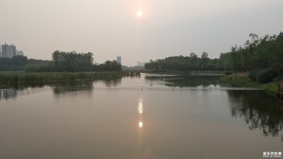 白鷺洲濕地公園