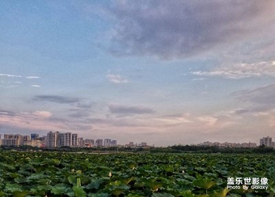 去“琴臺(tái)大劇院”聽音樂會(huì)隨拍