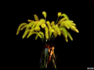 拍了才知道－單一的色彩