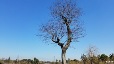 那一抹藍(lán)....