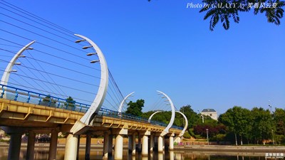 【醉美秀麗丹】+垂釣者