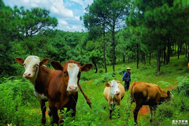 【第110期：全新三星Galaxy Note9 正式發(fā)布】