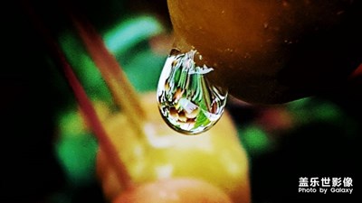立秋隨拍