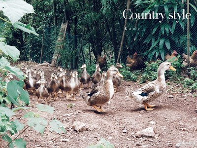 假期·家鄉(xiāng)味道