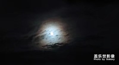 隨手閑拍，萬物皆是風(fēng)景。