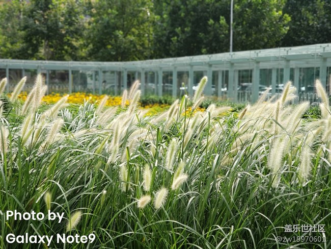 全銀河系首發(fā)！Galaxy Note9圖文&視頻評測