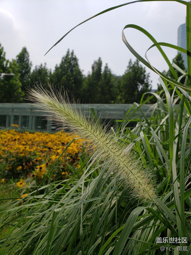 【三星Galaxy Note9首發(fā)評測】低調(diào)美男子，內(nèi)在大提升！