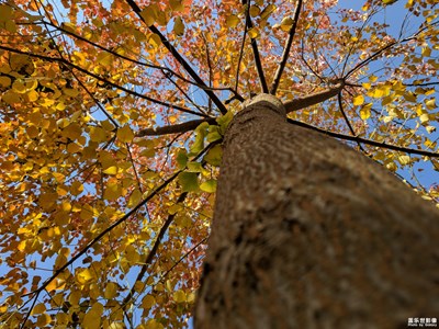 最近個(gè)人拍照精選