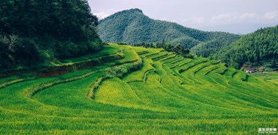 上堡上堡，高山之上水淼淼——江西崇義