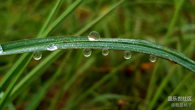 【第111期：七夕節(jié)你們都是怎么度過的呢？】