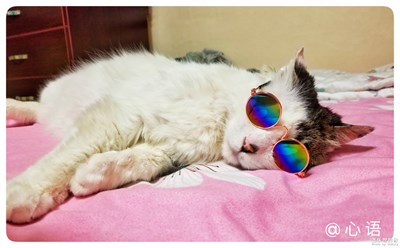 蓋樂世攝影周賽第60期--定格美好