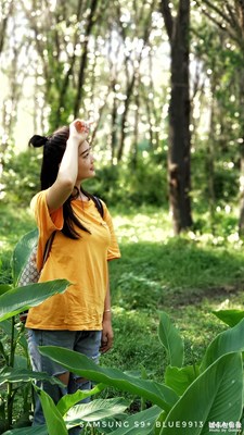 一起去樹(shù)林吧