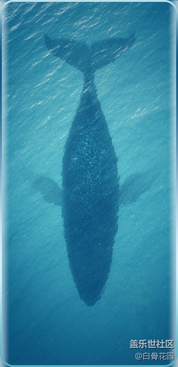 s輕奢版--專用壁紙（付費(fèi)壁紙?zhí)崛。? title=