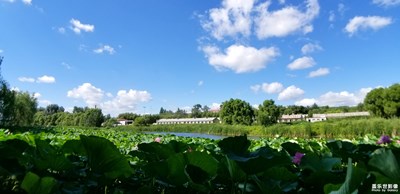 【定格美好】+走進(jìn)滿族村（1）