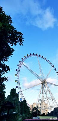 今日上海，不溫不燥~