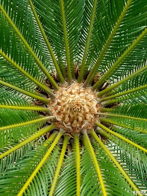 你猜這是什么？