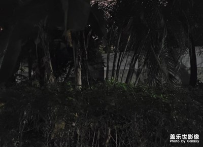 夜晚的世界
