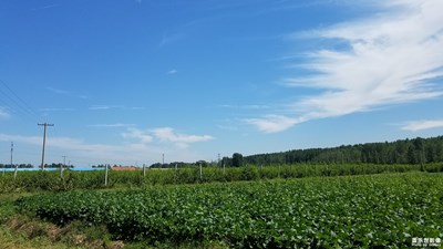 【簡(jiǎn)單生活】+簡(jiǎn)單的生活方式