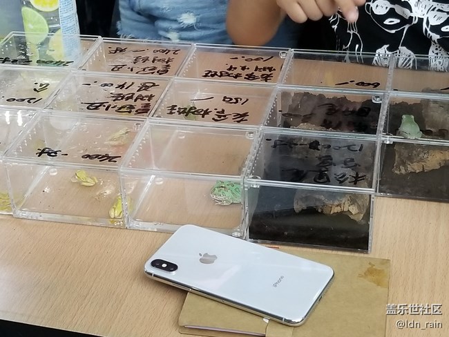 【活動(dòng)回顧】上海星部落帶你玩轉(zhuǎn)亞洲寵物展