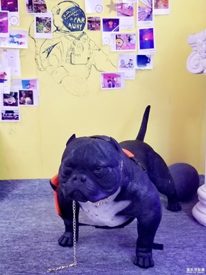 【簡單生活】網(wǎng)紅小店