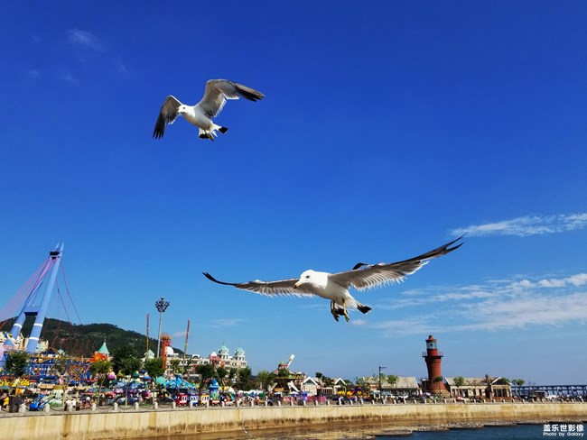 【112期：Note9首銷 期待更多的玩機(jī)技巧分享】