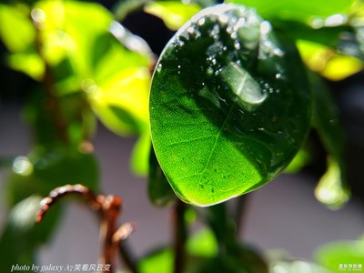 【簡單生活】+多彩的生活