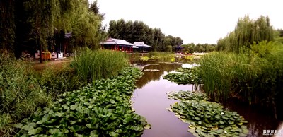 【簡(jiǎn)單生活】+中國(guó)亭園隨拍