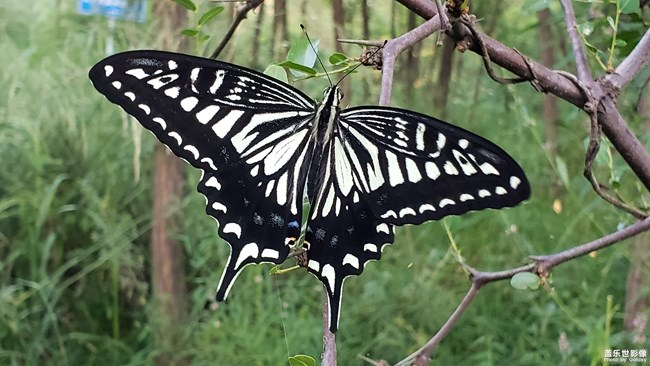 【112期：Note9首銷 期待更多的玩機(jī)技巧分享】