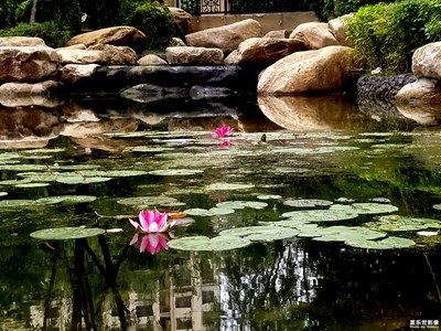 【簡(jiǎn)單生活】+慢生活