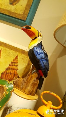 【簡(jiǎn)單生活】+小擺件