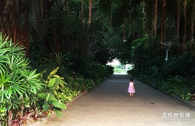 [簡單生活]+公園漫步