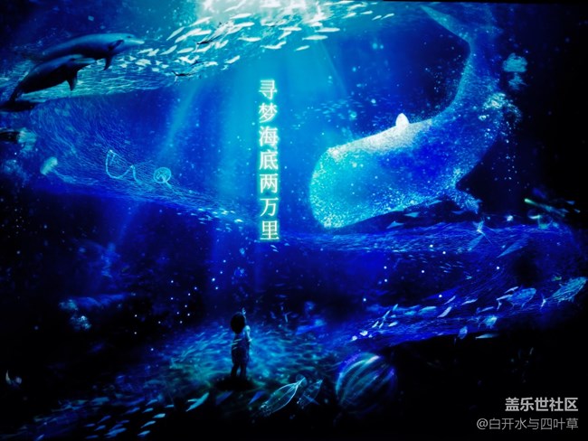 海底兩萬(wàn)里活動(dòng)回顧