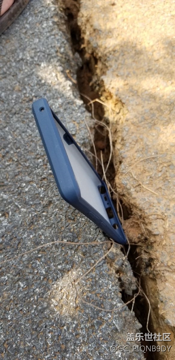 海淘的套子到了