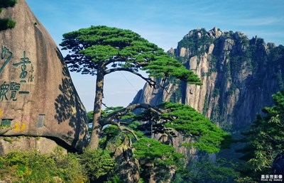 世界名勝——黃山