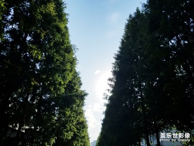 下課了  下課了