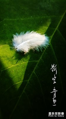 【自然之美】+韻律