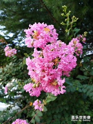 藍(lán)藍(lán)的天上白云飄~